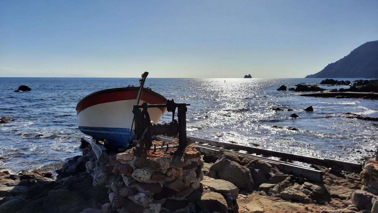 Les Bois Flottes . Plage De La Verne La Seyne-sur-Mer Exteriör bild