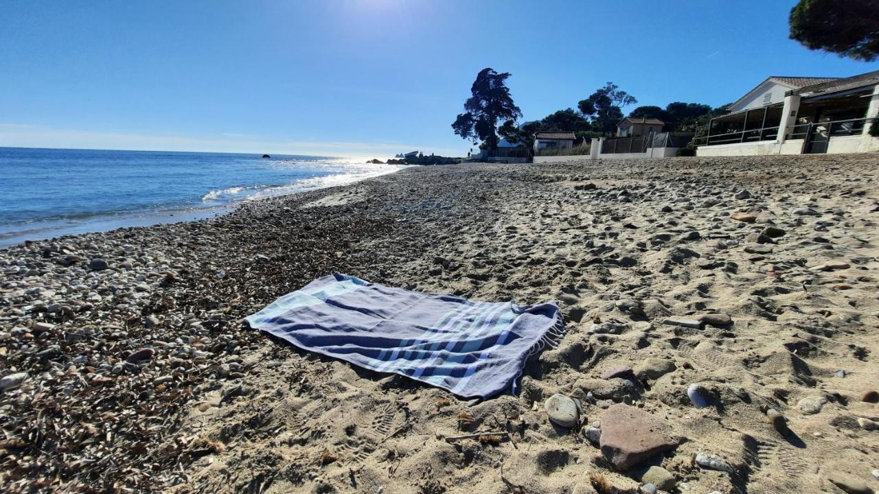 Les Bois Flottes . Plage De La Verne La Seyne-sur-Mer Exteriör bild
