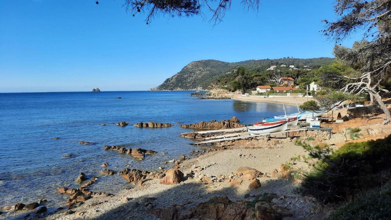 Les Bois Flottes . Plage De La Verne La Seyne-sur-Mer Exteriör bild