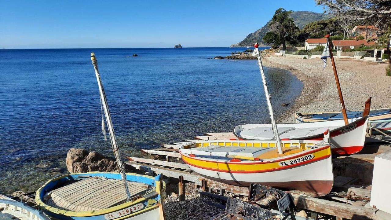 Les Bois Flottes . Plage De La Verne La Seyne-sur-Mer Exteriör bild